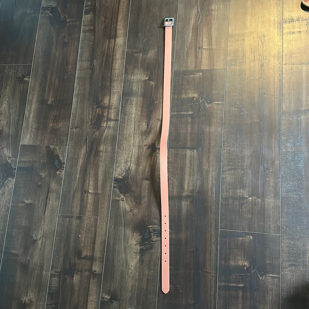 NWOT Salmon Belt